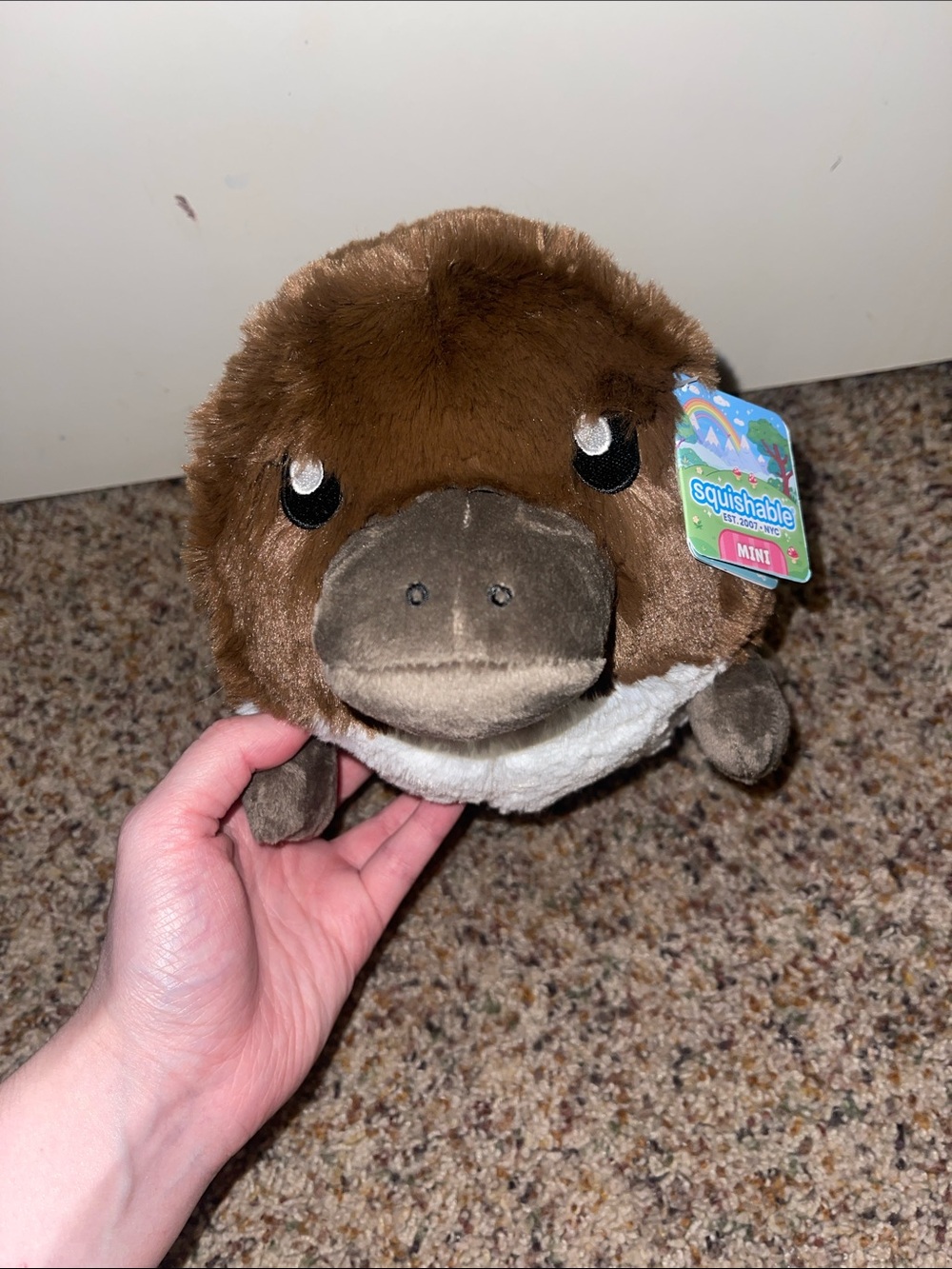 NEW❗️Platypus Squishable - Picture 2 of 3